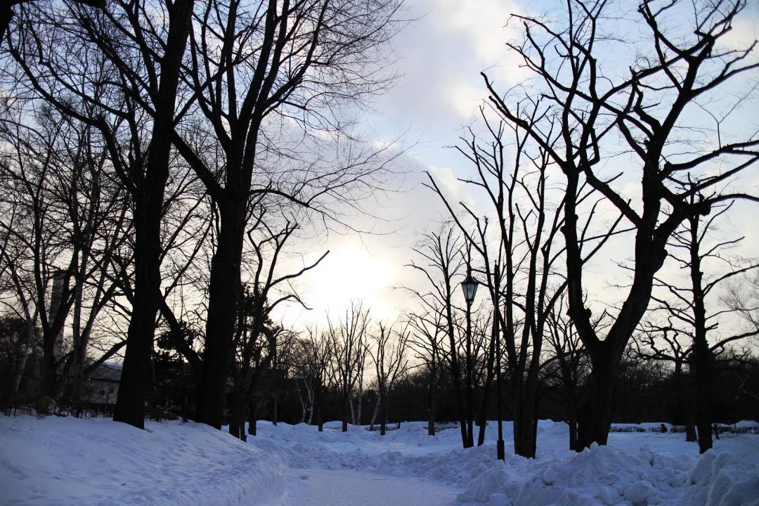 14572_2280fd110189cac2d742c30355b8f5a8_o 【北海道遊記】遊覽雪北海道大學，當一天的偽大學生