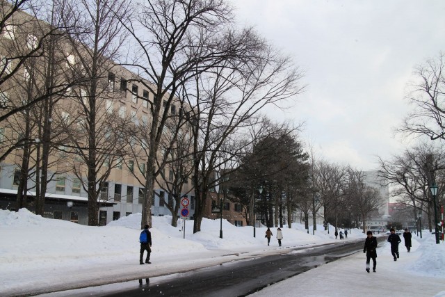 14572_b346228844666da879977d68a6340e17_o 【北海道遊記】遊覽雪北海道大學，當一天的偽大學生