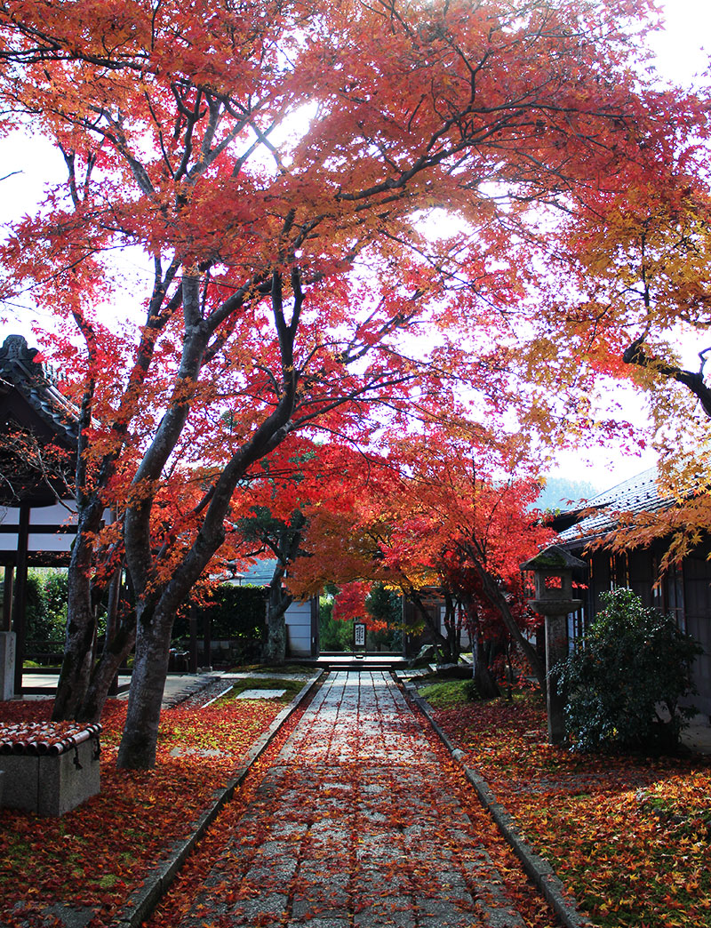 img_0228 第一次賞紅葉，請不要去京都（17 個追楓點整理）