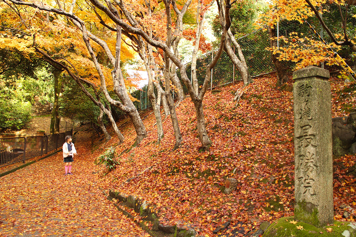 img_0283 第一次賞紅葉，請不要去京都（17 個追楓點整理）