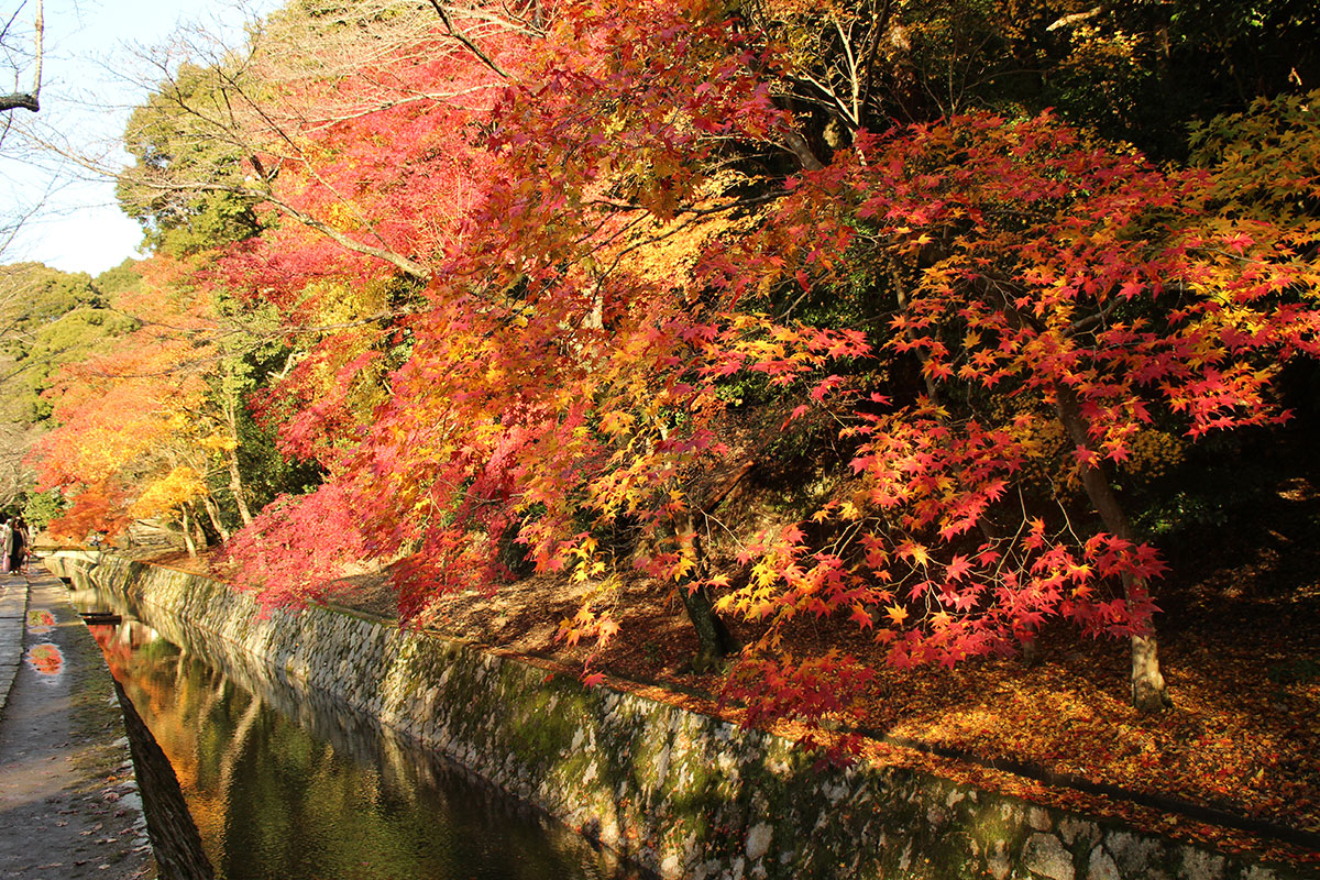 img_0355 第一次賞紅葉，請不要去京都（17 個追楓點整理）