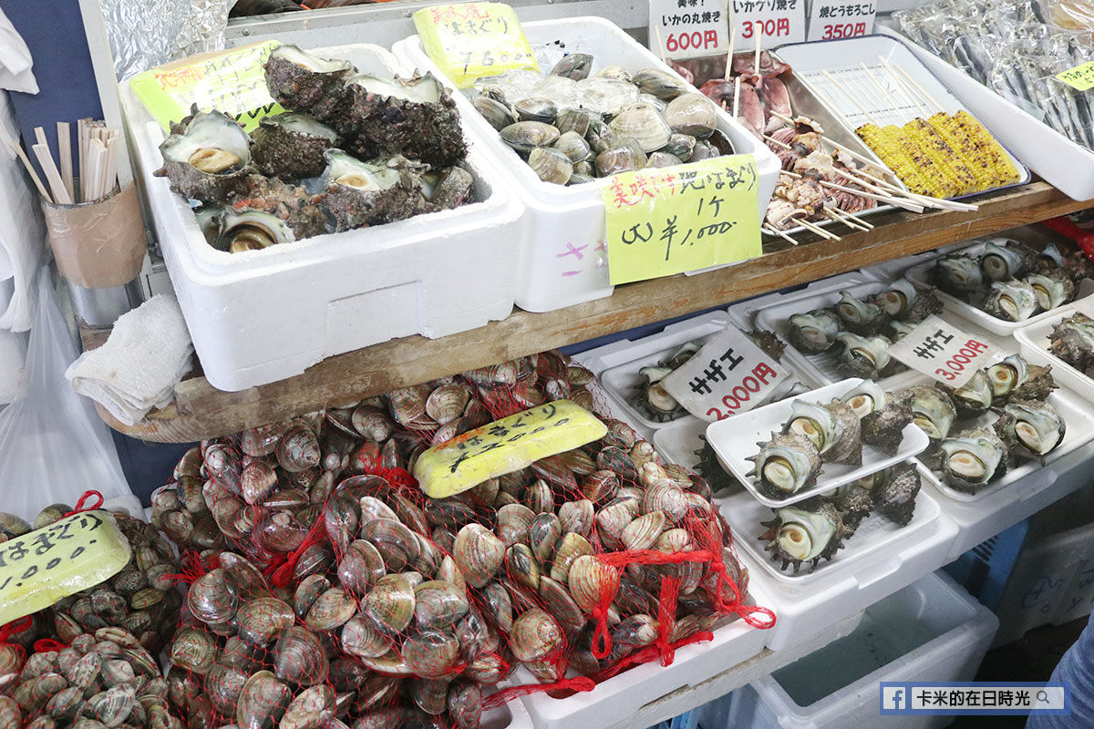 img_0550 東京近郊另一選擇 | 三浦半島肥美吞拿魚+海岸美景一日遊