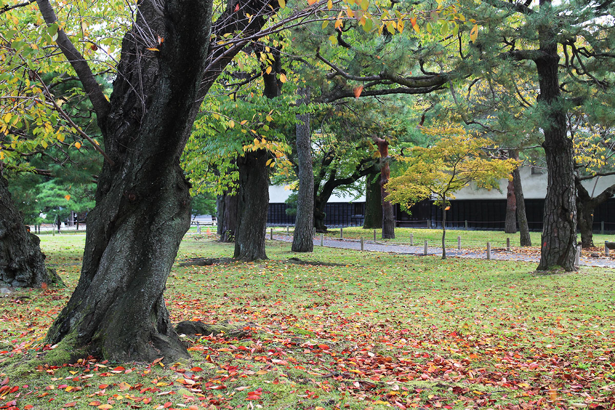 img_8998 第一次賞紅葉，請不要去京都（17 個追楓點整理）