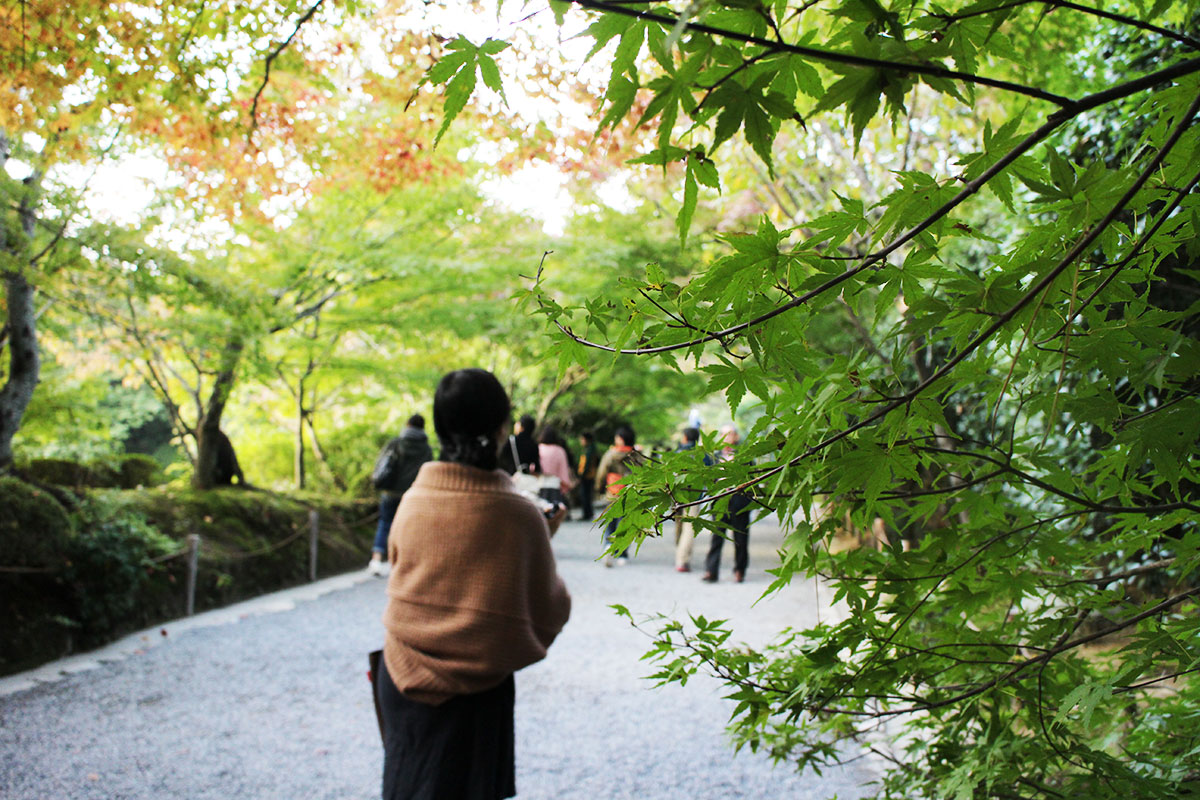 img_9009 第一次賞紅葉，請不要去京都（17 個追楓點整理）