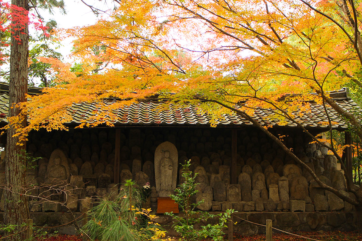 img_9433 第一次賞紅葉，請不要去京都（17 個追楓點整理）