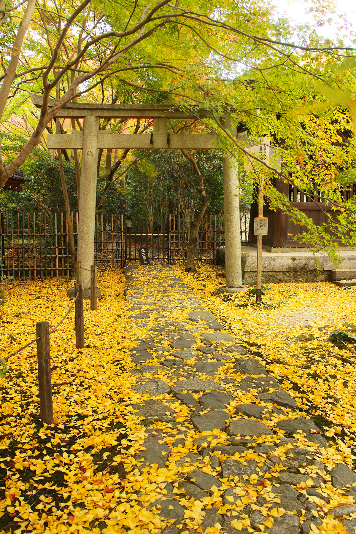 img_9437 第一次賞紅葉，請不要去京都（17 個追楓點整理）