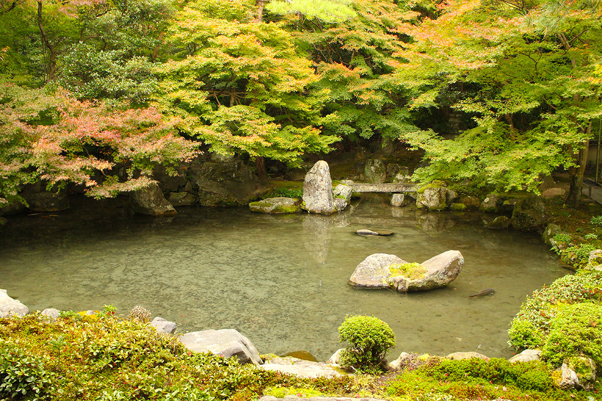 img_9451 第一次賞紅葉，請不要去京都（17 個追楓點整理）