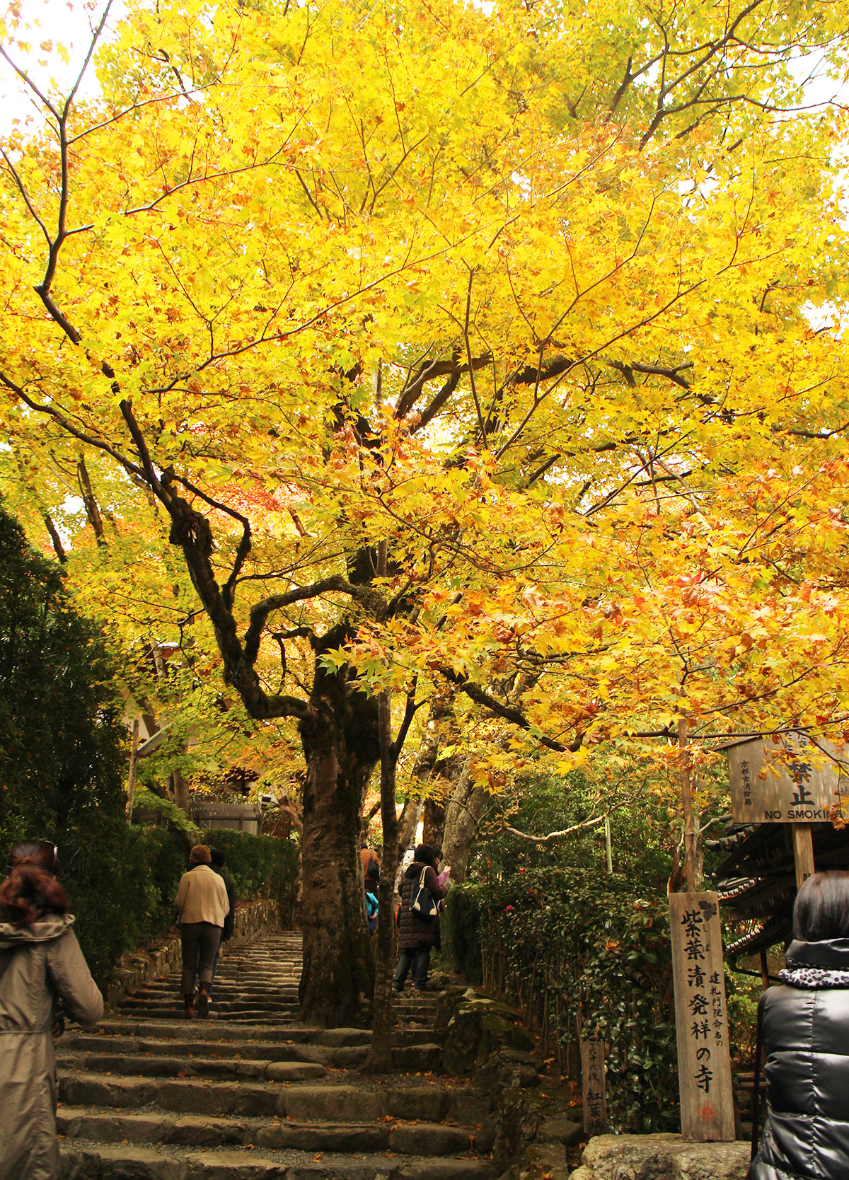 img_9610 第一次賞紅葉，請不要去京都（17 個追楓點整理）