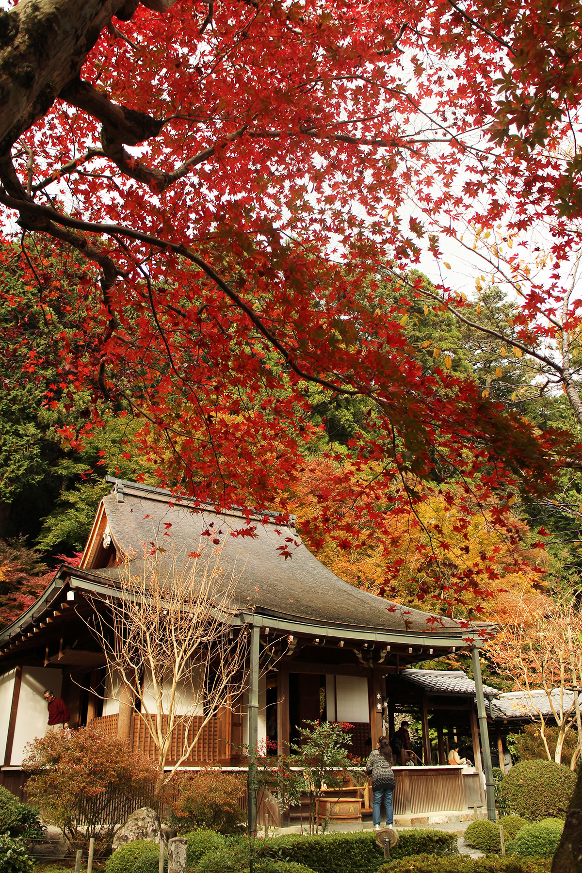 img_9633 第一次賞紅葉，請不要去京都（17 個追楓點整理）