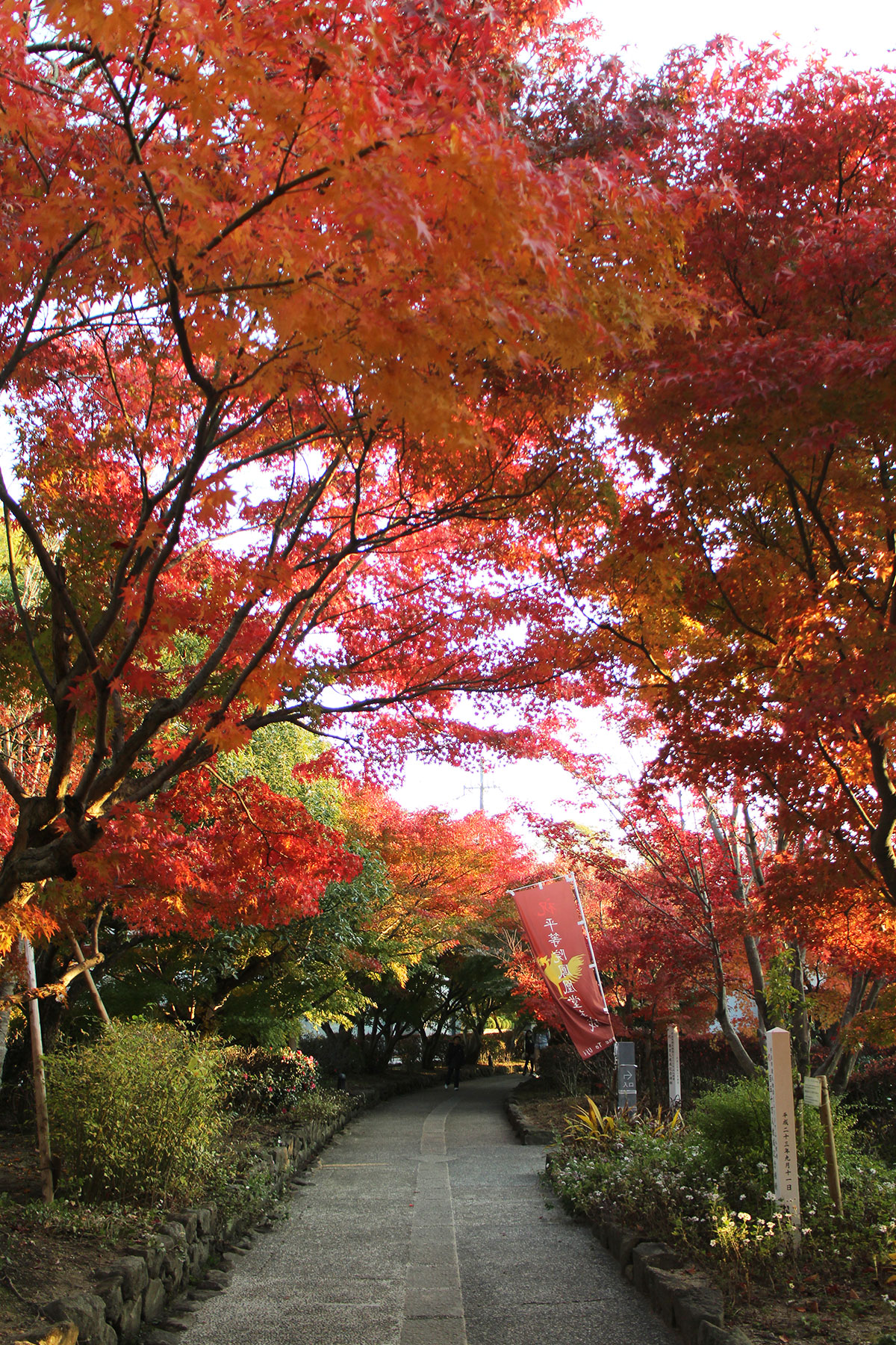 img_9933 第一次賞紅葉，請不要去京都（17 個追楓點整理）