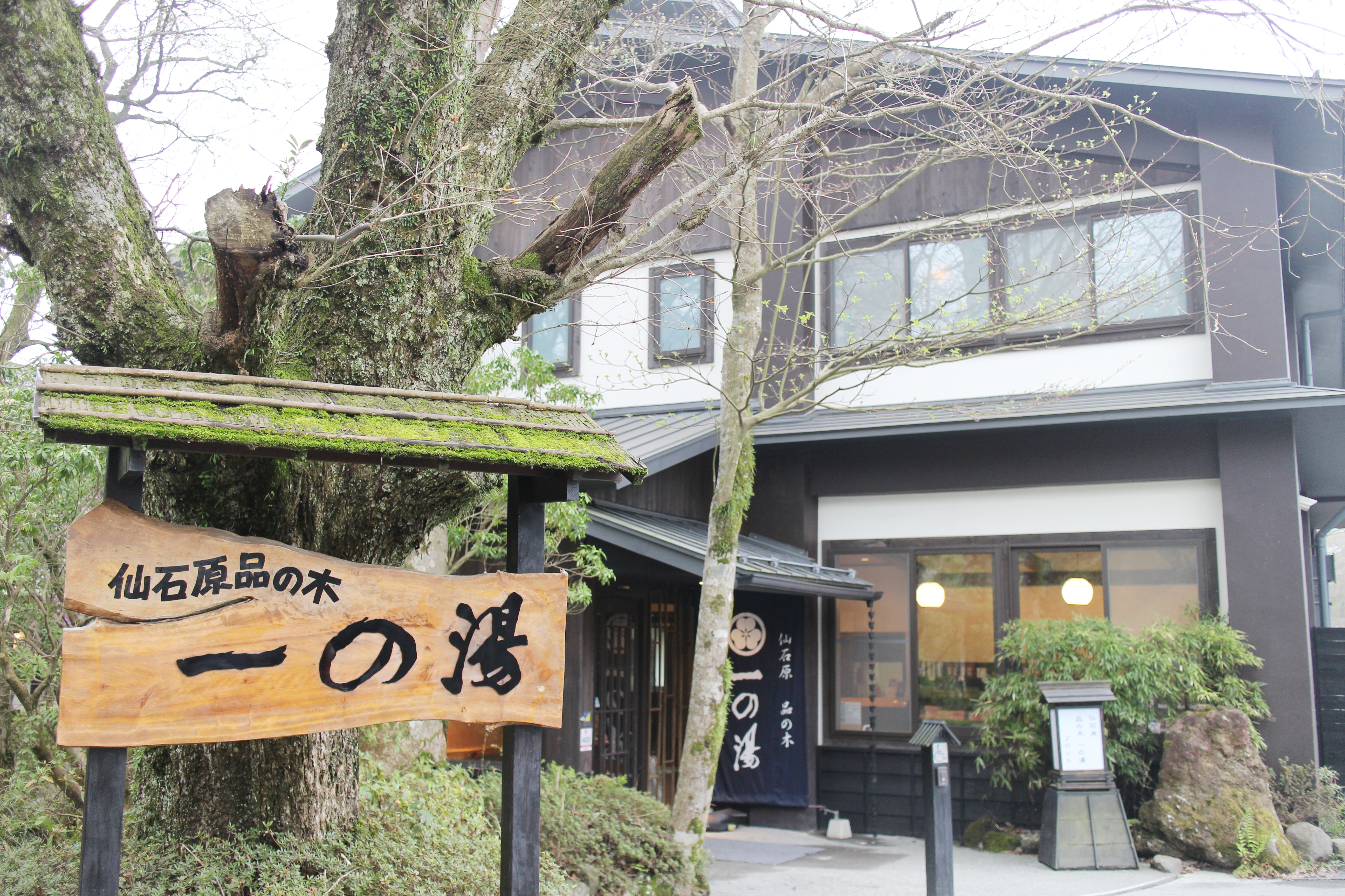 IMG_3208-01 【東京近郊】箱根住宿分享 |仙石原品の木一の湯溫泉旅館私人露天風呂+一泊二食