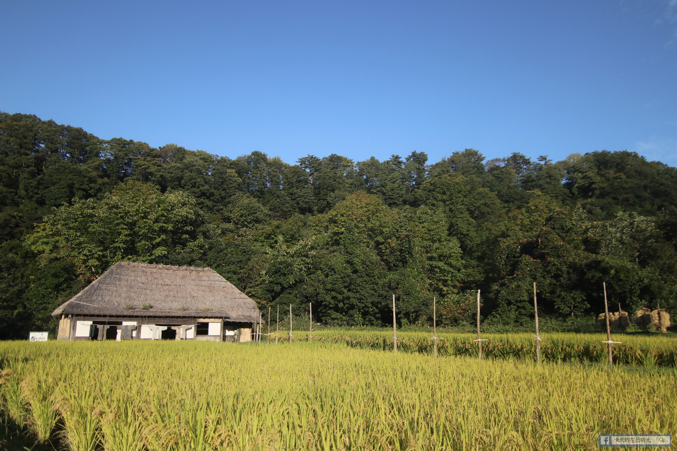 20190926161614_img_2480-01 日本東北山形庄內4日3夜自駕遊行程懶人包 | Day 3：湯殿山神社/羽黑山五重塔/Studio Sedic/住宿：Shonai Hotel Suiden Terrasse